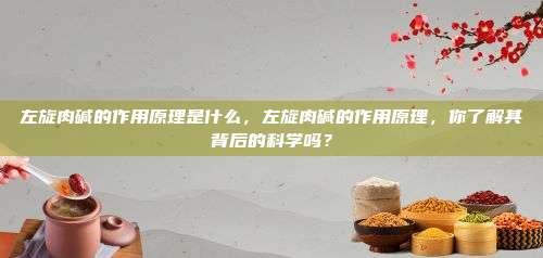 左旋肉碱的作用原理是什么，左旋肉碱的作用原理，你了解其背后的科学吗？