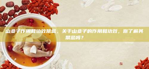 山桑子作用和功效禁忌，关于山桑子的作用和功效，你了解其禁忌吗？