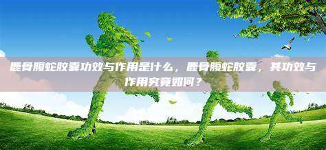 鹿骨腹蛇胶囊功效与作用是什么，鹿骨腹蛇胶囊，其功效与作用究竟如何？