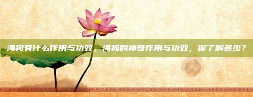 海狗有什么作用与功效，海狗的神奇作用与功效，你了解多少？