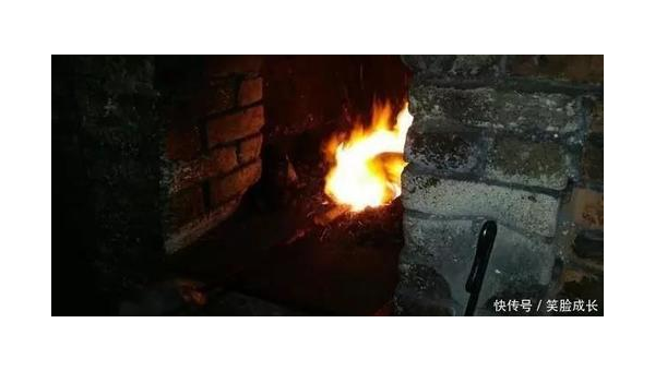 蜂胚的作用与功效，蜂胚之秘，其效用与功效究竟何在？