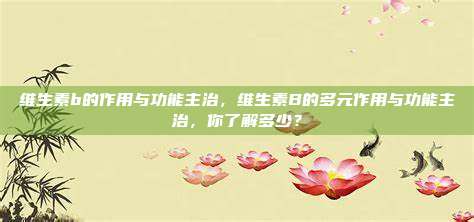 维生素b的作用与功能主治，维生素B的多元作用与功能主治，你了解多少？