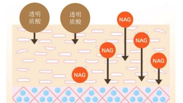 葡萄糖胺副作用，葡萄糖胺的副作用是否值得担忧？