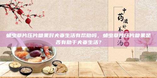 蛹虫草片压片糖果对夫妻生活有帮助吗，蛹虫草片压片糖果是否有助于夫妻生活？