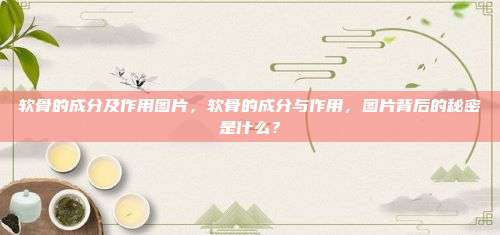 软骨的成分及作用图片，软骨的成分与作用，图片背后的秘密是什么？