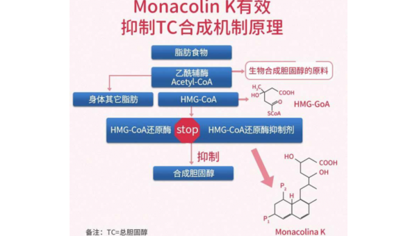 辅酶Q10的作用机理是哪四个?，辅酶Q10的作用机理是哪四个，你了解其重要性吗？