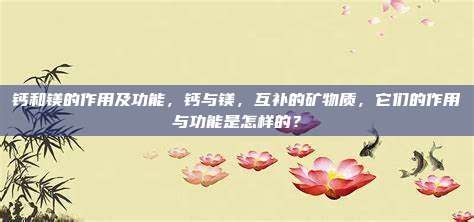 钙和镁的作用及功能，钙与镁，互补的矿物质，它们的作用与功能是怎样的？