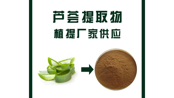 芦荟提取物的功效，芦荟提取物功效，你了解其全部益处吗？