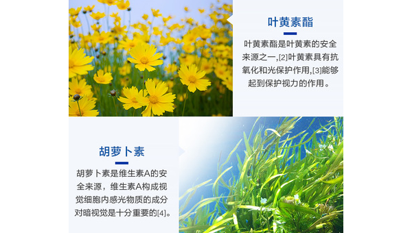 越橘叶黄素的作用是什么，越橘叶黄素的作用究竟如何？