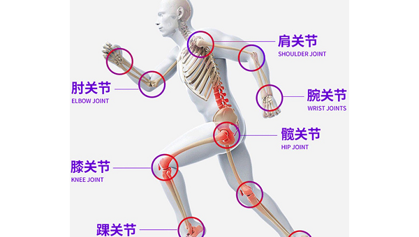 骨维力的功效与作用是什么，骨维力的功效与作用究竟如何？
