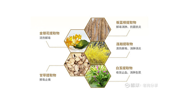 植物精华的作用是什么，植物精华的作用，你了解其深层效果吗？