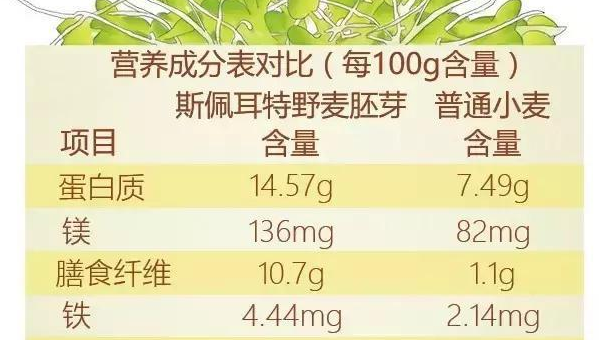 康氏小麦胚芽，康氏小麦胚芽的秘密，你了解它的营养价值吗？
