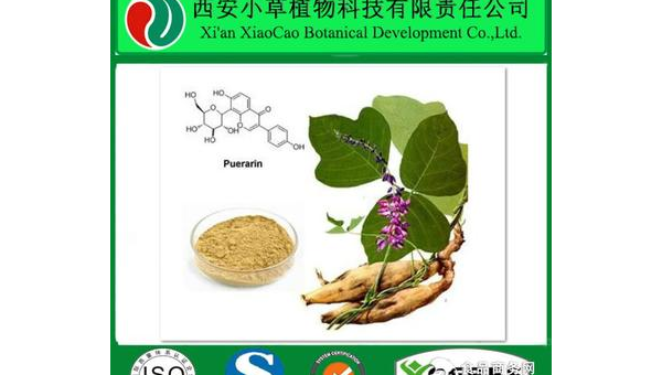 葛根提取物片的作用与副作用，葛根提取物片，作用与副作用，你了解多少？