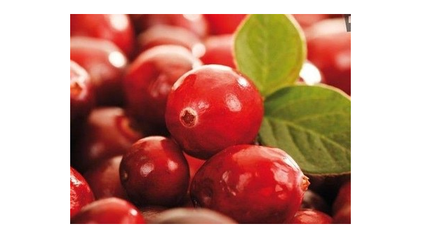 gnc 蔓越莓，为什么选择GNC蔓越莓作为健康补充品？