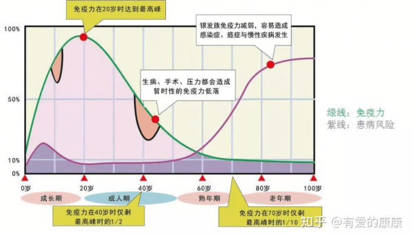 康麦斯牛初乳片的功效与作用，康麦斯牛初乳片，其功效与作用究竟如何？