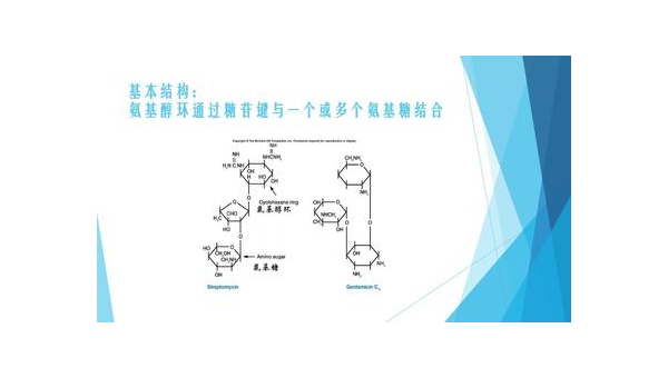 氨基糖的作用和功效，氨基糖的作用与功效，你了解多少？