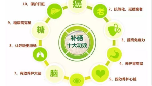 辅酶Q10的作用与功效，辅酶Q10的效用究竟如何？其作用机制究竟是怎样的？