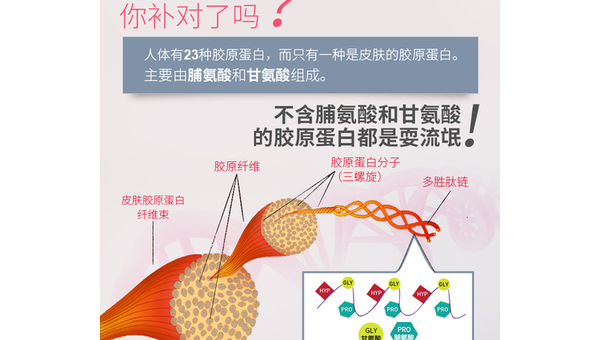水解胶原蛋白粉作用与功效，水解胶原蛋白粉，其作用与功效究竟如何？