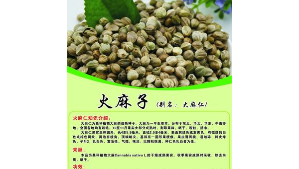 火麻子油的功效作用与主治，火麻子油的功效与主治是什么？