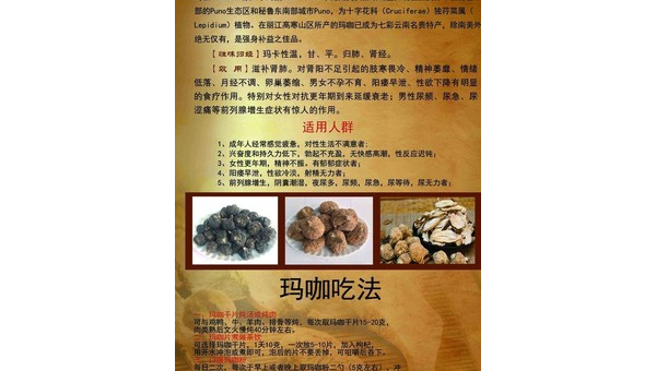 秘鲁玛卡功效与副作用，关于秘鲁玛卡，你了解它的功效与副作用吗？