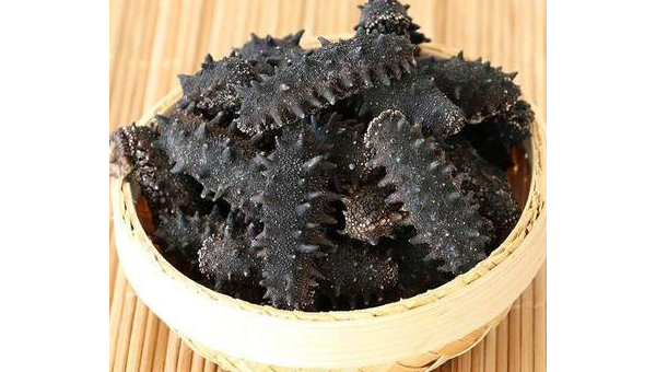 海参美肤的作用与功效，海参美肤，其作用与功效究竟如何？