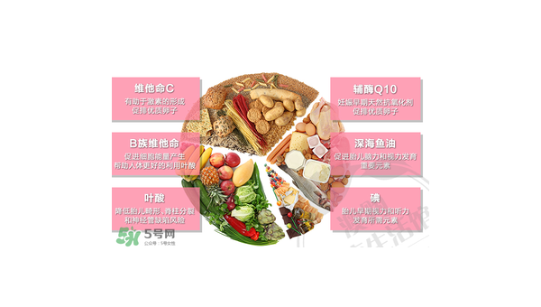 辅酶的作用与功效及副作用，辅酶，其作用与功效背后隐藏的副作用是什么？