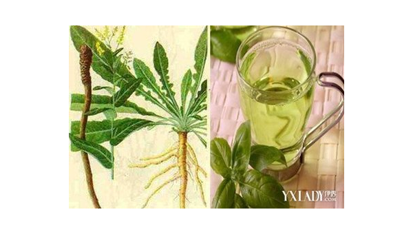 五种叶柑酸的功效与作用，你了解其背后的秘密吗？
