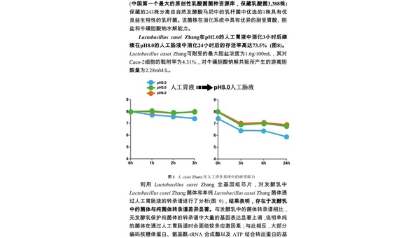 嗜酸乳酸菌作用是什么，嗜酸乳酸菌的作用究竟有多重要？