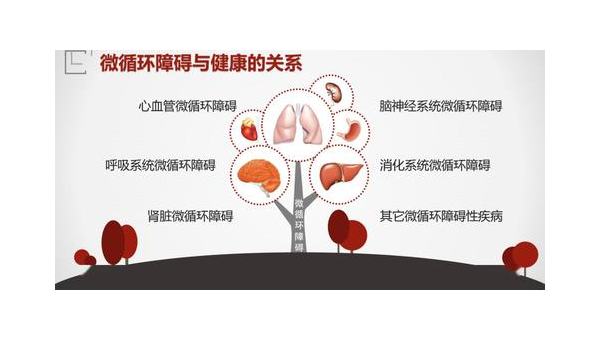 地龙对微循环的作用是什么，地龙对微循环的作用究竟是怎样的？