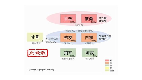 紫菊花的功效与作用及禁忌是什么，你了解完全了吗？