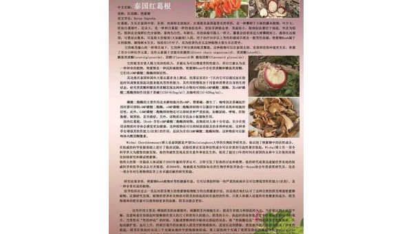 野生葛根有副作用吗，野生葛根是否有副作用？