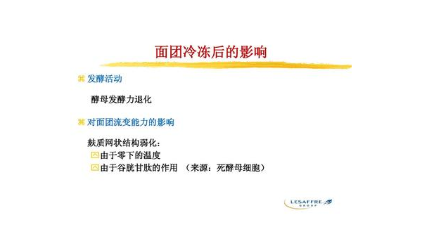 酵母的作用原理，酵母的作用原理，如何影响面团发酵过程？