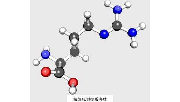 精氨酸的功效与作用护肤品，精氨酸在护肤品中的功效与作用，你了解其深层效果吗？