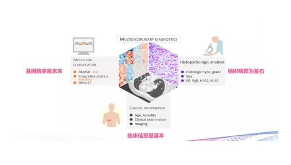 金脉通的功效，金脉通功效之谜，你了解其全部效果吗？