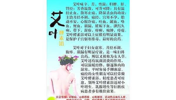 艾叶酵素的功效与作用及副作用，艾叶酵素，功效与作用，你了解其潜在副作用吗？
