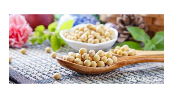 大豆卵磷脂的危害，大豆卵磷脂的危害，你了解多少？