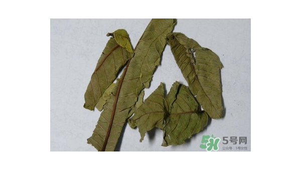 石榴叶的功效与作用及副作用是什么，关于石榴叶的功效与作用及副作用，你了解多少？