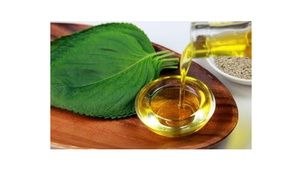 紫苏子油的副作用，紫苏子油是否有潜在副作用？