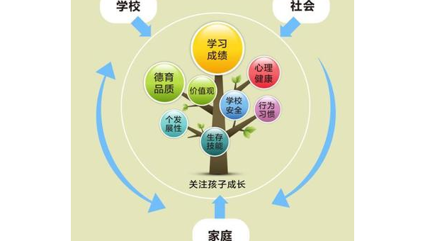 维生素b系列作用是什么，维生素B系列的作用，你了解其重要性吗？