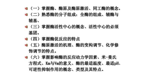 全酶中辅酶的作用，催化反应的关键 全酶中辅酶的作用是决定酶所催化的