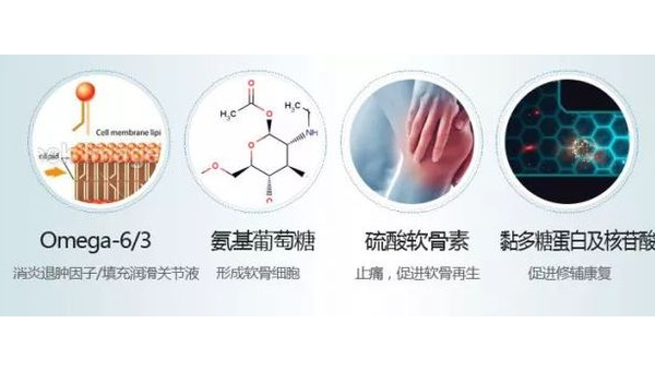 软骨素副作用，全面解析软骨素的功效与潜在风险 软骨素副作用和危害