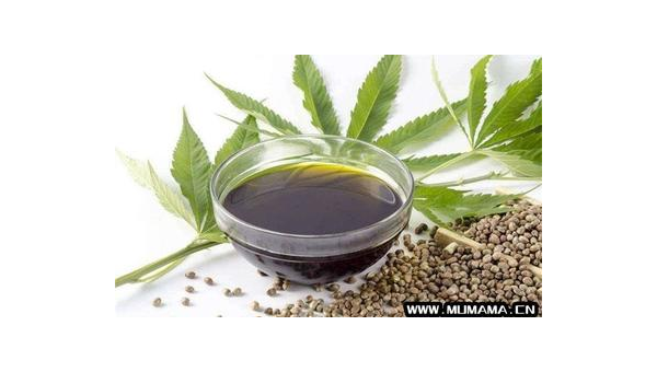 巴马火麻汤的功效与作用，巴马火麻汤，功效与作用解析