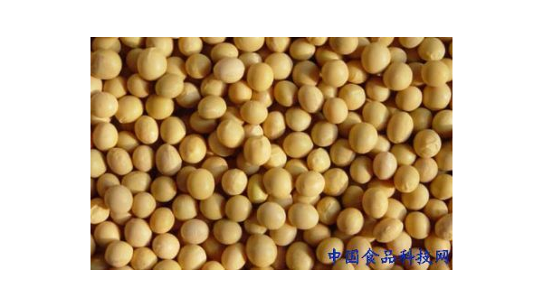 大豆卵磷脂软胶囊，健康生活的守护者 大豆卵磷脂软胶囊的功效与作用点是什么