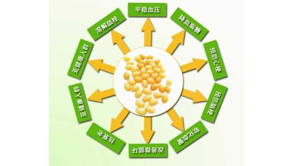 纳豆激酶作用研究及其应用 纳豆激酶作用研究进展