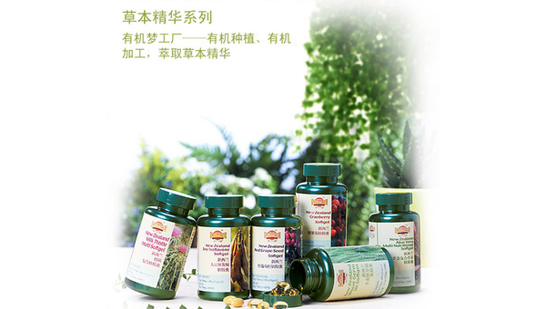 圣约翰草的神奇功效与广泛应用 圣约翰草作用原理