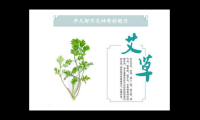 艾蒿的功效与作用有哪些