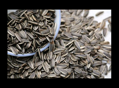 生葵花籽和熟葵花籽的功效与作用 葵花籽的功效与作用