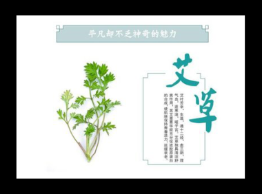 艾蒿的功效与作用有哪些