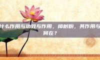 樟树粉有什么作用与功效与作用，樟树粉，其作用与功效究竟何在？