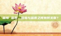 蓝莓 蓝雨，蓝莓与蓝雨之间有何关联？